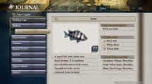 Localización de peces y los Primitive Fish de 'Ys VIII' 3 2 Boleh