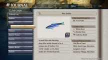 Localización de peces y los Primitive Fish de 'Ys VIII' 4 3 Blue Saddie