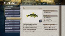 Localización de peces y los Primitive Fish de 'Ys VIII' 5 4 Amana