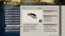 Localización de peces y los Primitive Fish de 'Ys VIII' 8 Ys VIII Lacrimosa of DANA 20170909113249