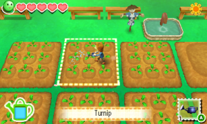 Story of Seasons 10