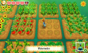 Story of Seasons 13