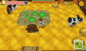 Story of Seasons 14