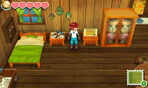 Story of Seasons 2