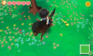 Story of Seasons 5