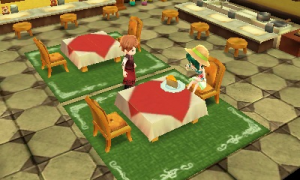 Story of Seasons 9