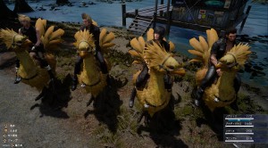 1446524713 group chocobos