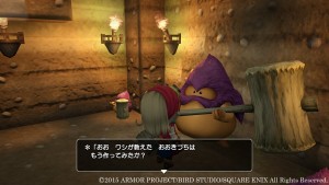 Dragon Quest Builders 2015 11 18 15 003.jpg 600