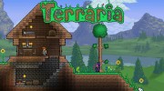 Análisis – Terraria