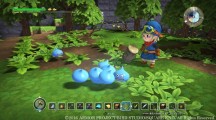 Dragon Quest Builders 2016 01 13 16 009.jpg 600