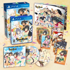 Senran Kagura Estival Versus 2016 02 25 16 013.jpg 600