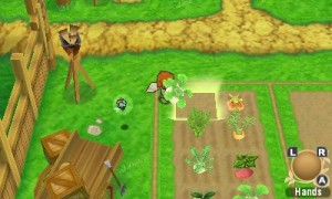 granja