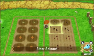 granja2