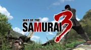 Análisis – Way of the Samurai 3