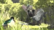 Tráiler del PlayStation Experience 2016 de ‘The Last Guardian’