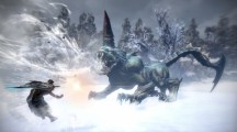 Toukiden 2 2017 03 02 17 032.jpg 600