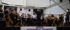 DSC00902