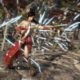Detallado el mundo abierto de ‘Dynasty Warriors 9’