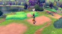 Pokemon Sword and Shield 2019 02 27 19 003.png 600