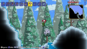 Terraria 9
