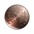 bronce