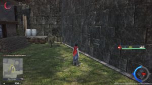Ys IX Monstrum Nox 20210130095027
