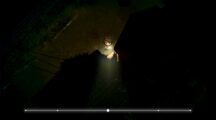 Yomawari Lost in the Dark 20221019140352